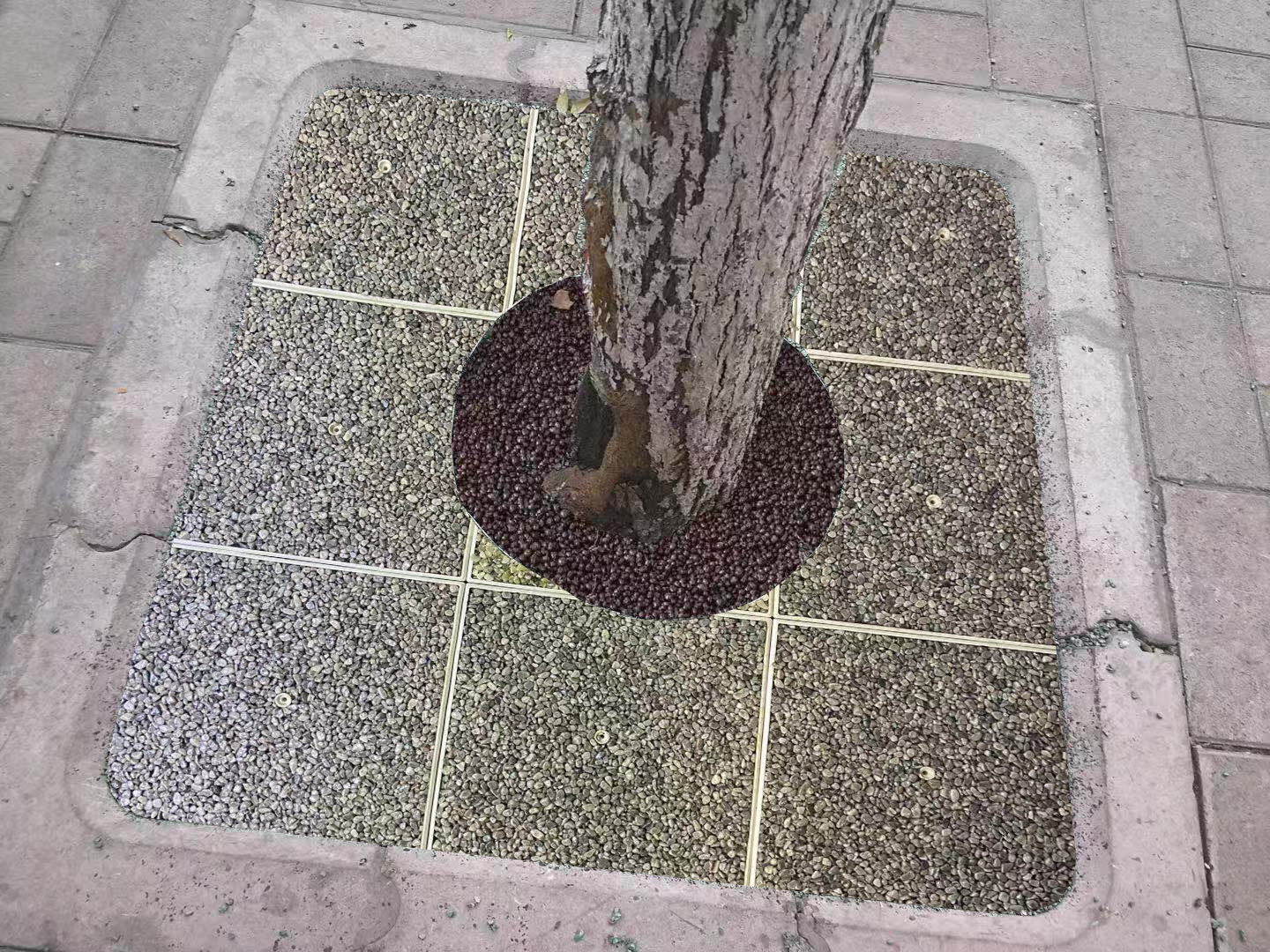 生態樹圍